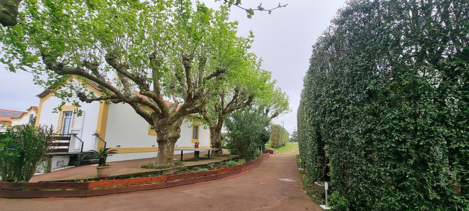 Quinta Sao Jose Da Relva * Ponta Delgada (Sao Miguel)